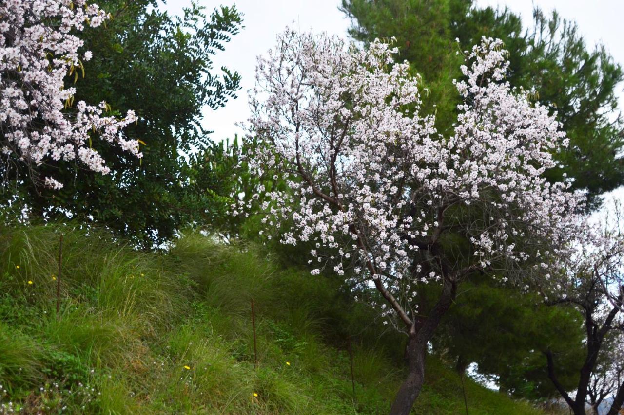 Casa Jardin Natural Sedella Buitenkant foto